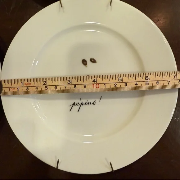 French Porcelain Green Apple Themed Decorative Plate Set of 4 - Picture 3 of 4